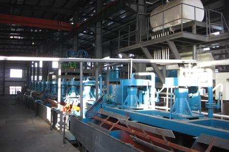 100TPD Fluorite Tailings Re-flotation Recovery Processing Line