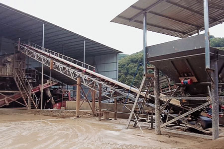 chongzuo1