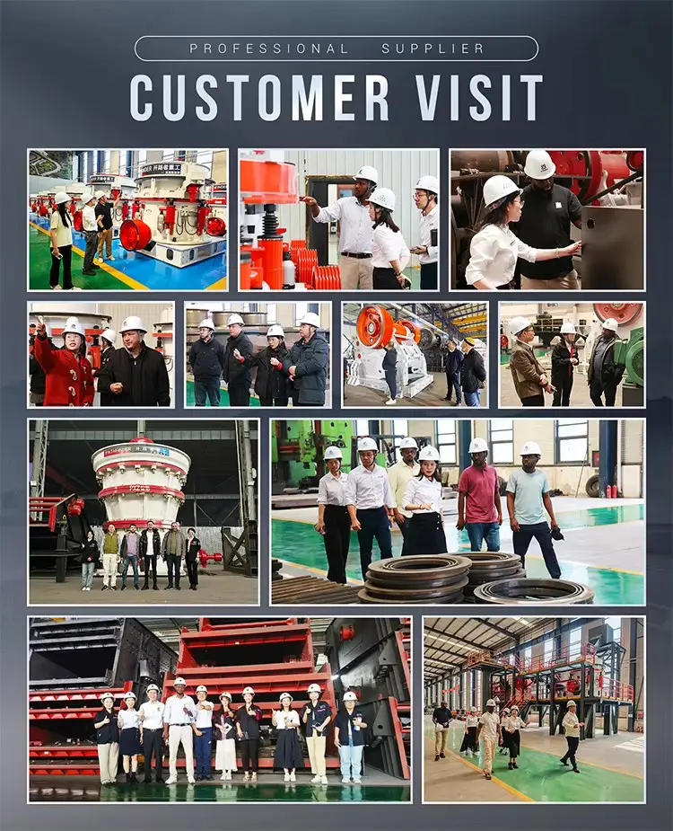 customer visit customer visit