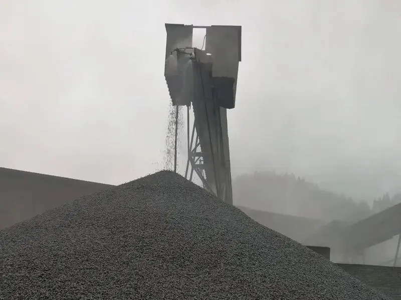 Mineral Processing Mineral Processing